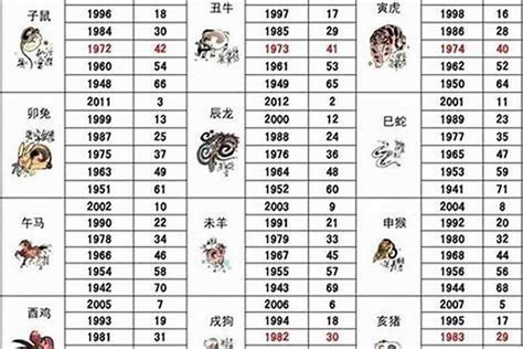 49歲屬什麼生肖|49岁属什么生肖？